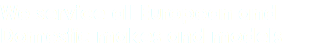 We service all European and Domestic makes and models